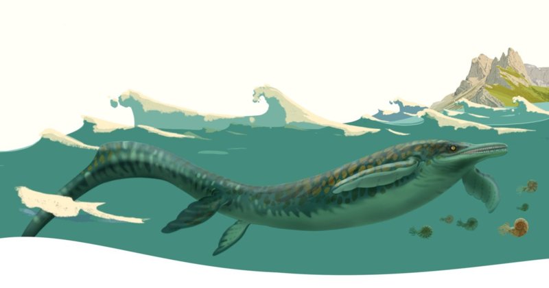 Coverzeichnung, Sara Welponer