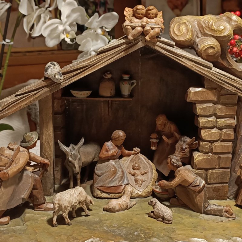 Cripl fata da anda Nora Roilo Insam Cripl fata da anda Nora Roilo Insam