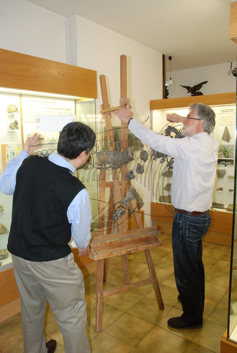 Pruf. Motani y Pruf. Tintori Pruf. Motani y Pruf. Tintori