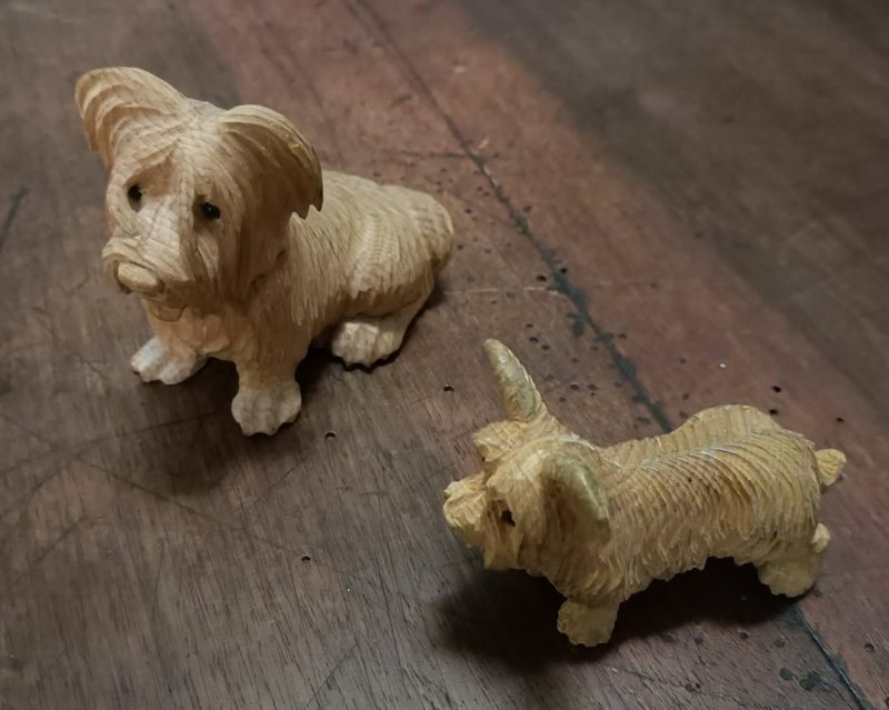 Tieres ziplei da Marianna da Rijeda Tieres ziplei da Marianna da Rijeda